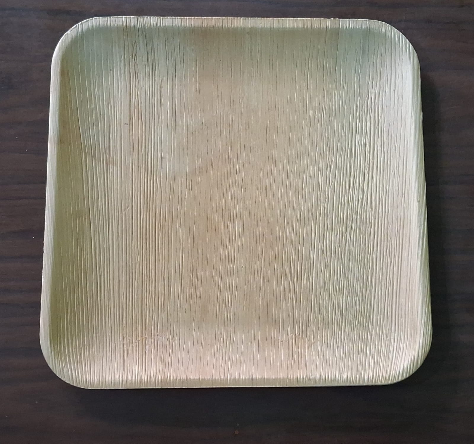 Areca Leaf Square Plate — Large