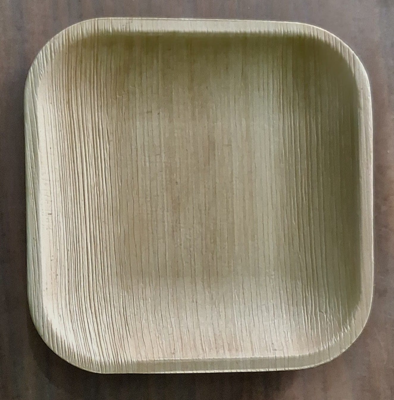 Areca Leaf Square Plate — Small