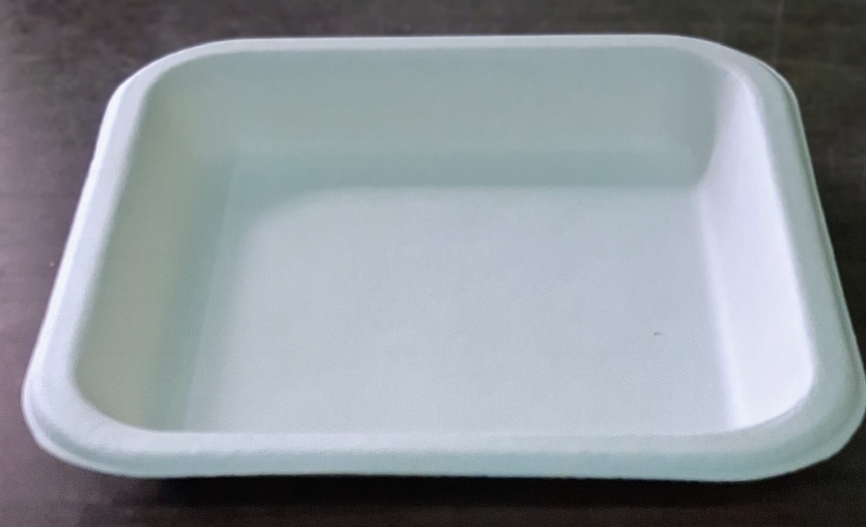 Bagasse Square Tray